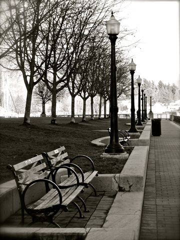Park benches and lamp posts overlooking Coal Harbour in Vancouver, BC, Canada