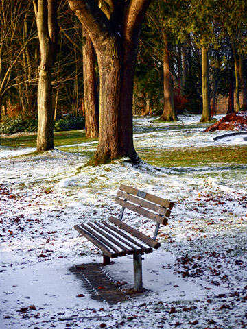 A Stanley Park bench surrounded by winter snow in Vancouver, BC, Canada