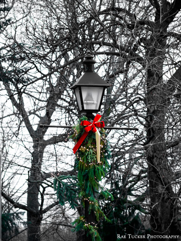 A lamp post decorated with cedar bows and ribbon for the Christmas season