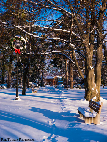 A snowy park is adorned with wreaths in Oakville, Ontario