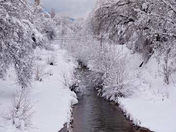 A wintery river scene in Sofia, Bulgaria