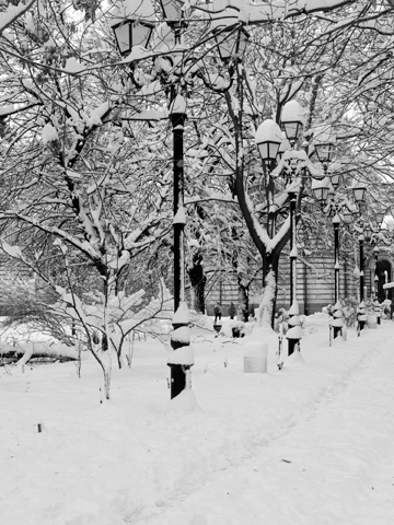 Snow covers lamp posts and trees in Sofia, Bulgaria