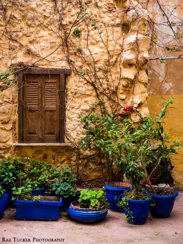 A stone wall with wooden shuttered window and plants potted in blue, clay pots.