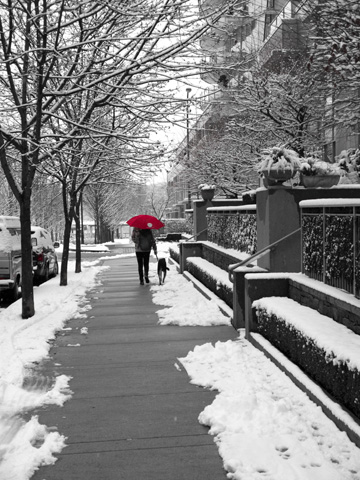 A red umbrella stands out on a snowy, city street