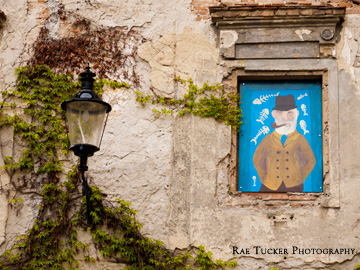A stone wall in Bratislava adorned by ivy, a painting and a lamp.