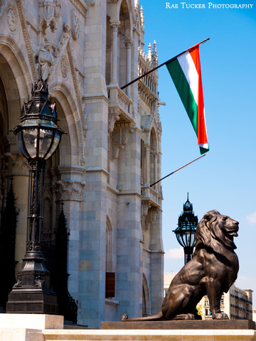 An entrance to the Hungarian Parliament building is guarded by a stone lion