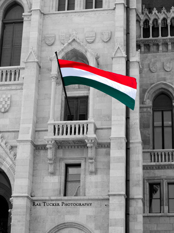 The red, white and green of the Hungarian flag flies against and black and white background.