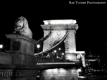 A black and white image of the Chain Bridge at night in Budapest, Hungary