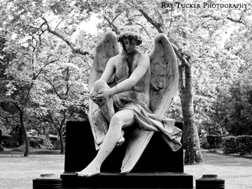 A black and white image of an angel in a cemetery in Budapest, Hungary