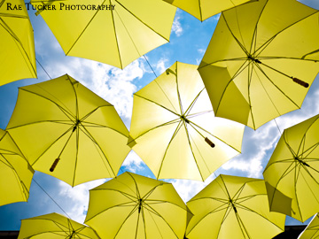 Yellow umbrellas provide protection from the bright sun.