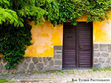 In the summer, this entrance is shaded by greenery in Szentendre, Hungary