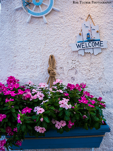Pink flowers and a blue and white welcome sign