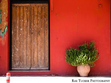 A red wall adorned with a wooden door and a potted plant