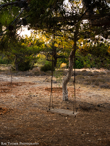 A wooden swing hangs from a tree on the island of Gavdos in Greece