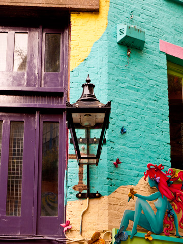 Neal's yard colours and fairy