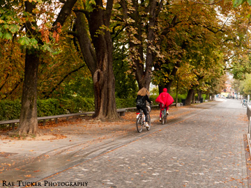 Bicyclists ride under autumn trees