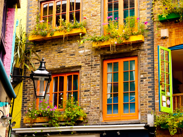 The vibrant colors of Neals Yard in London, England