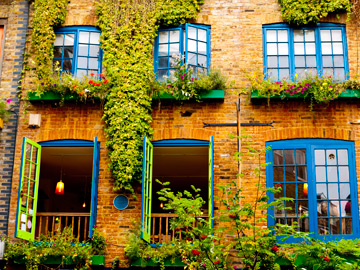 Windows painted bright green and blue in London, UK