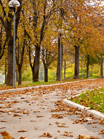 A path through Parco Montagnola in Bologna, Italy in the autumn