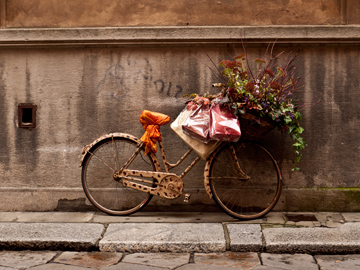 A bicycle is adorned with a basketful of plants and flowers and shopping bags.