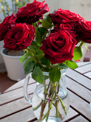 A clear vase of red roses