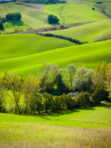 Rolling green hills in Tuscany in the autumn.