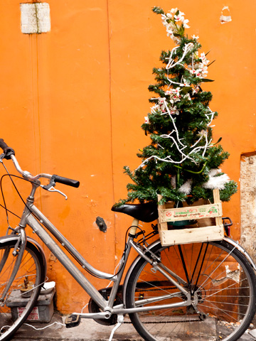 A bicycle carrying a Christmas tree in Rome, Italy