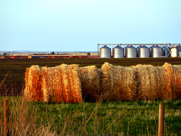 Symbols of the Canadian Prairies, CP Rail train, grain elevators and rolled hay bales in Alberta