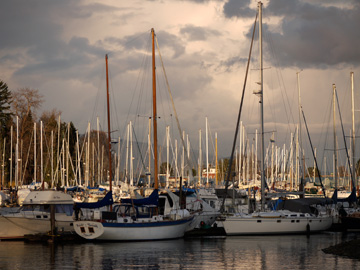 Sail boats docked at a Stanley Park harbour in Vancouver, BC