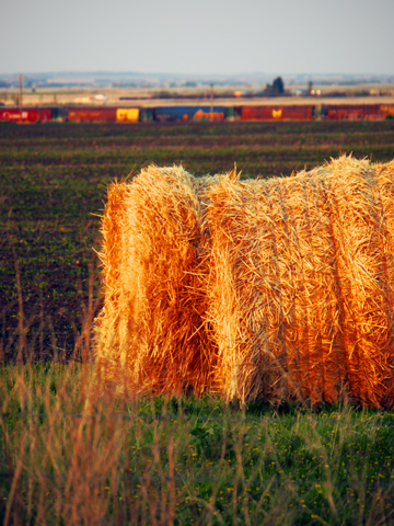 Hay bales in the forefront with a train traveling in the background in Alberta, Canada