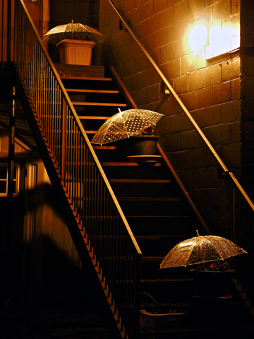 A stairway with umbrella covered plants