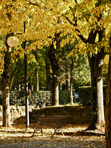 Park bench and street light in a park in Arezzo, Italy.