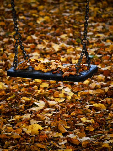 Leaf covered playground swing during the autumn in Bucine, Italy.