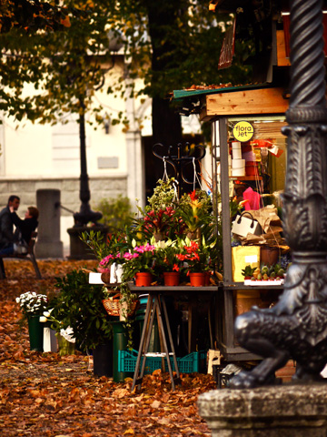 Flower stall surrounded by fallen leaves during the autumn in Florence, Italy.