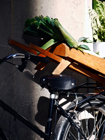 A bicycle carrying leeks in Florence, Italy