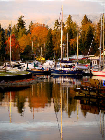 A harbour sits in front of Stanley Park in the autumn in Vancouver, British Columbia, Canada.