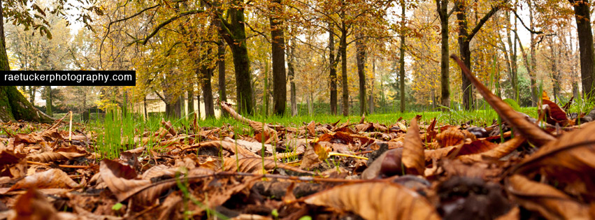 A park in Parma, Italy in autumn free facebook banner