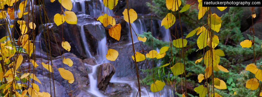 Autumn leaves and waterfall Free Facebook Banner