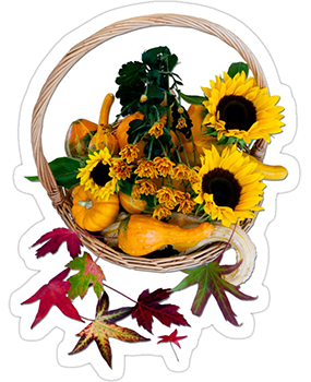 An autumn basket of bounty Sticker