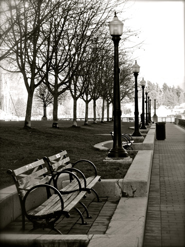 A small park populated with park benches and street lanterns in Vancouver's Coal Harbour