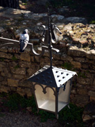 Pigeon and Lantern