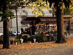 Park Flower Stall