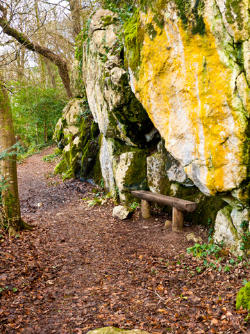 Along the River Walk on the grounds of the Blarney Castle in Ireland.