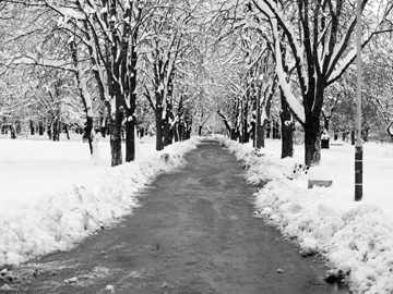 Winter blankets itself over a park in Sofia, Bulgaria