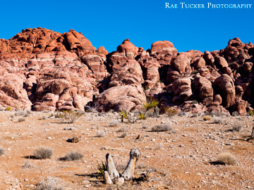 Red Rock Canyon in Nevada