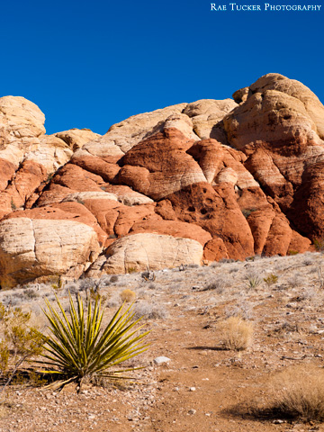 Red Rock Canyon in Nevada