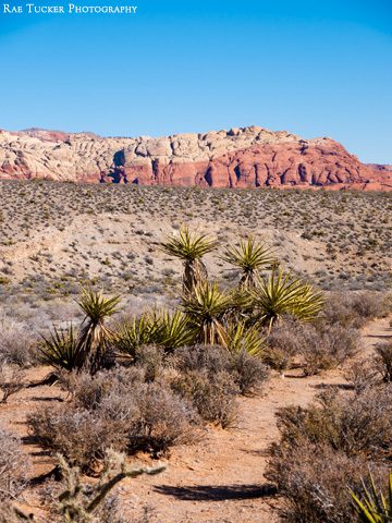 Red Rock Canyon in Nevada