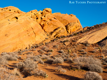 part of the Rainbow Vista path in the Nevada State Park Valley of Fire