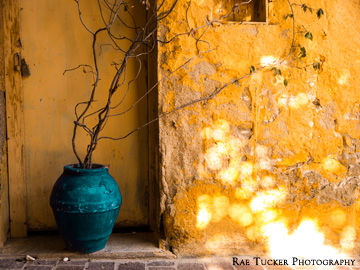 A yellow stone wall with a rounded, aqua plant pot.