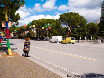 Trees are decorated from the spring season in Tirana, Albania